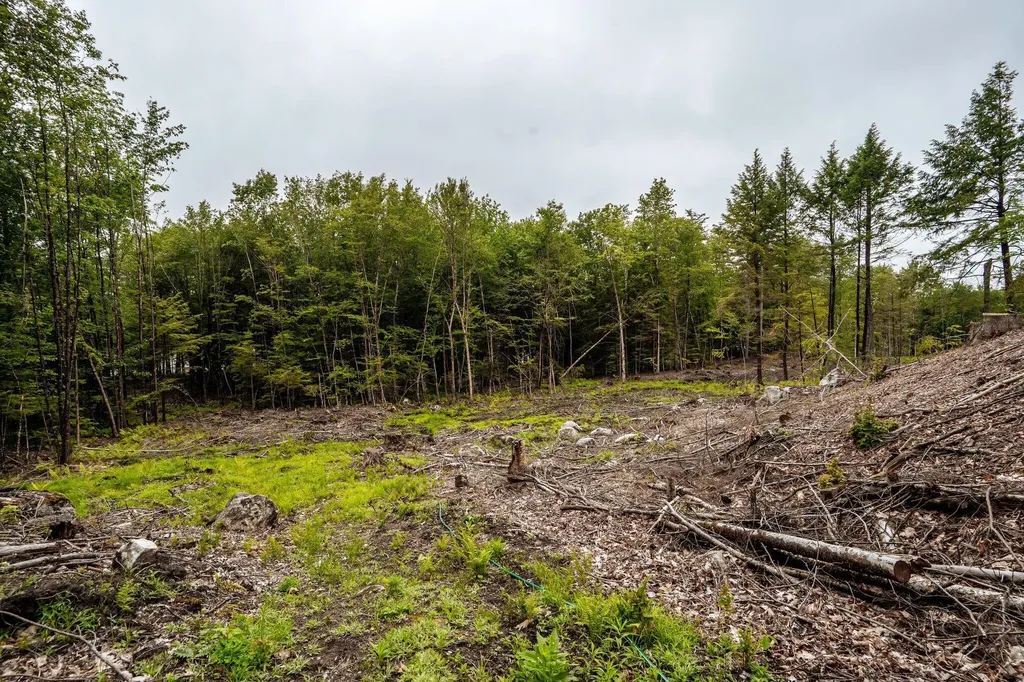 19 Sylvester Estates Drive Greene ME 04236