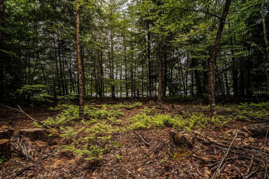 19 Sylvester Estates Drive Greene ME 04236