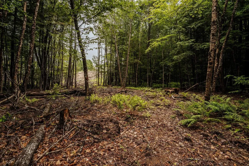 19 Sylvester Estates Drive Greene ME 04236