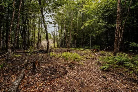 19 Sylvester Estates Drive Greene ME 04236