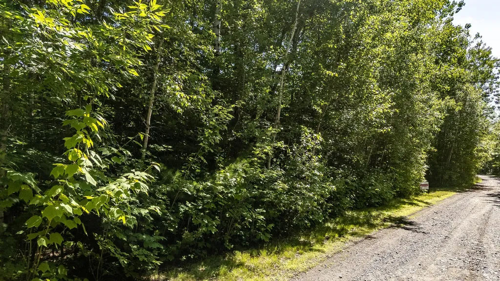 Lot 18-5 Woodland Lane Brownville ME 04414