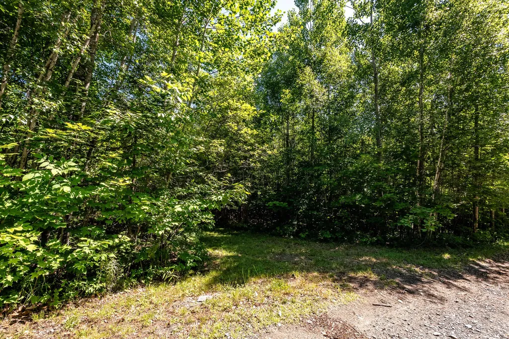 Lot 18-5 Woodland Lane Brownville ME 04414