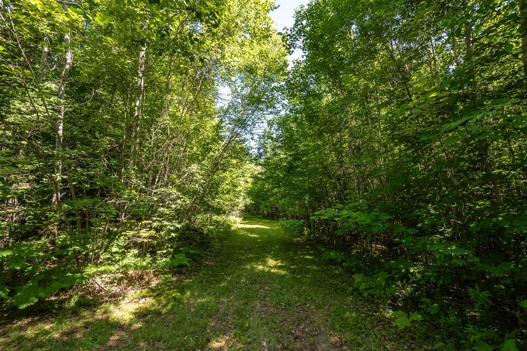 Lot 18-5 Woodland Lane Brownville ME 04414