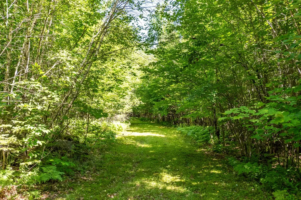 Lot 18-5 Woodland Lane Brownville ME 04414