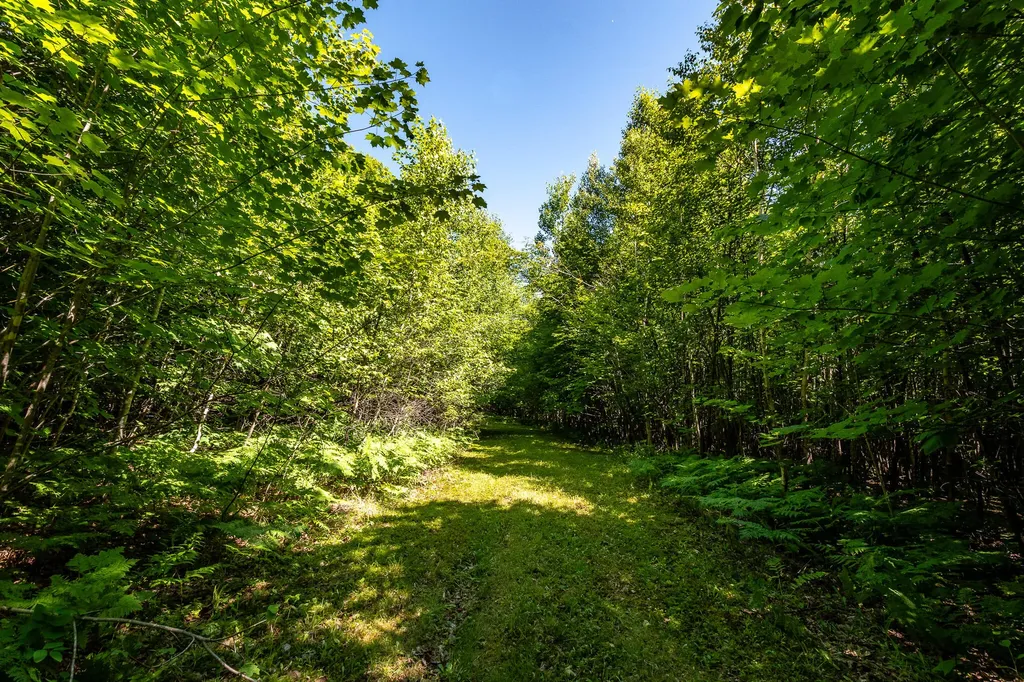 Lot 18-5 Woodland Lane Brownville ME 04414