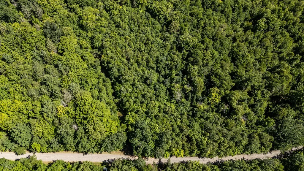 Lot 18-5 Woodland Lane Brownville ME 04414