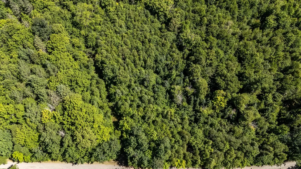 Lot 18-5 Woodland Lane Brownville ME 04414