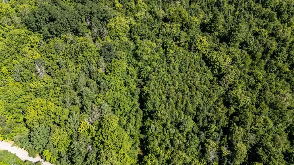 Lot 18-5 Woodland Lane Brownville ME 04414