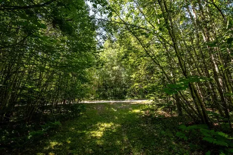 Lot 18-5 Woodland Lane Brownville ME 04414