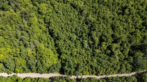 Lot 18-5 Woodland Lane Brownville ME 04414
