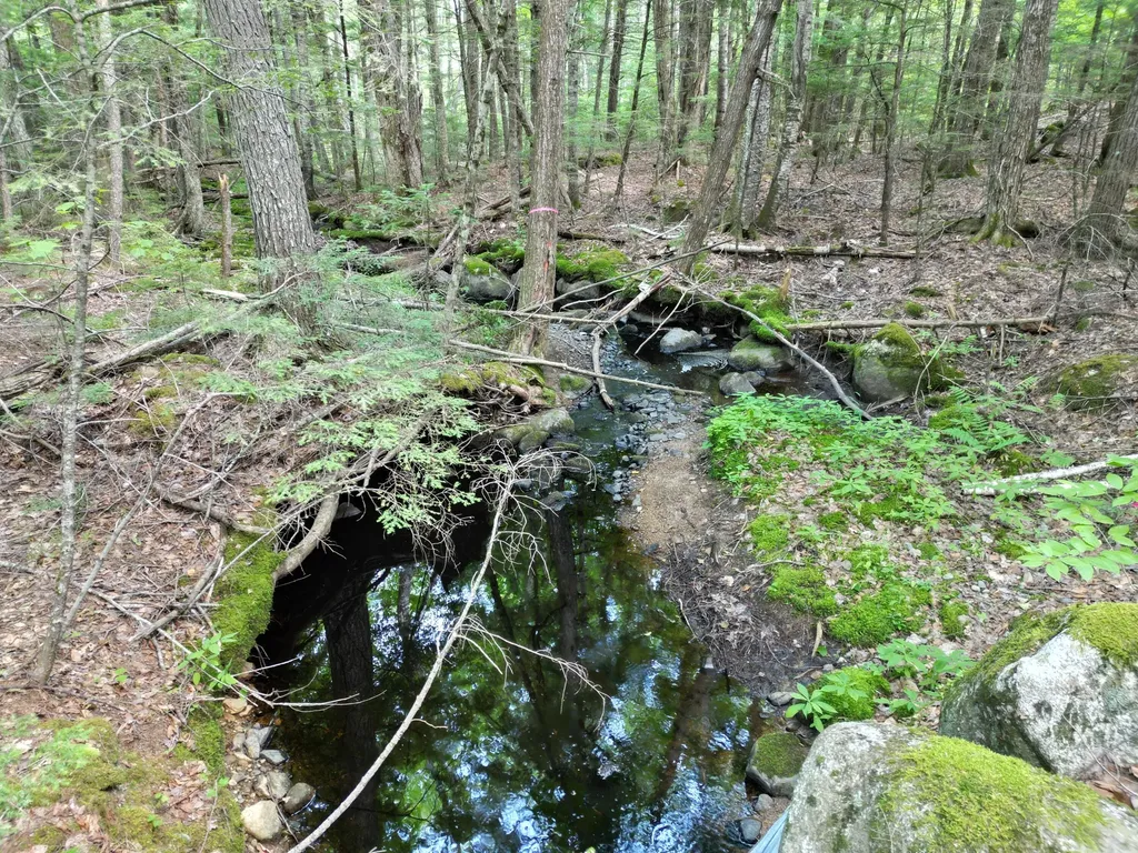 Lot 18-2 Madagascal Pond Road Burlington ME 04417