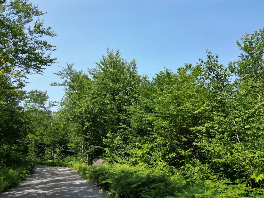 Lot 18-2 Madagascal Pond Road Burlington ME 04417