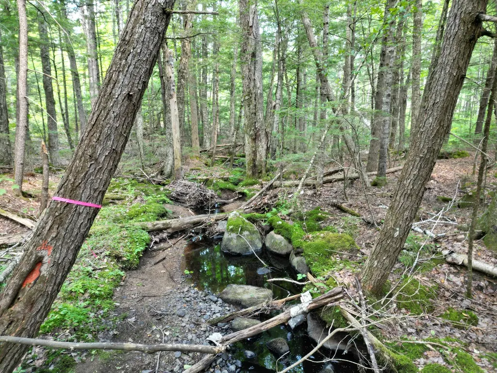 Lot 18-2 Madagascal Pond Road Burlington ME 04417