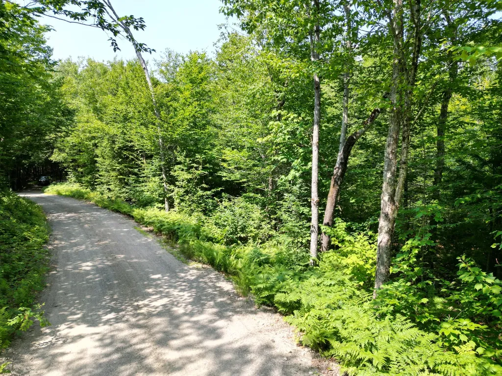 Lot 18-2 Madagascal Pond Road Burlington ME 04417