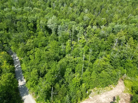 Lot 18-2 Madagascal Pond Road Burlington ME 04417