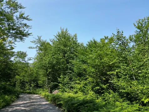 Lot 18-2 Madagascal Pond Road Burlington ME 04417
