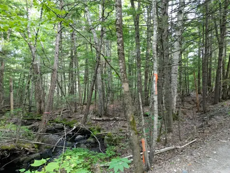 Lot 18-2 Madagascal Pond Road Burlington ME 04417