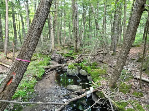 Lot 18-2 Madagascal Pond Road Burlington ME 04417