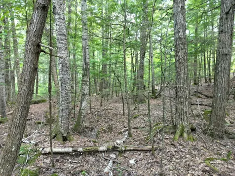 Lot 18-2 Madagascal Pond Road Burlington ME 04417