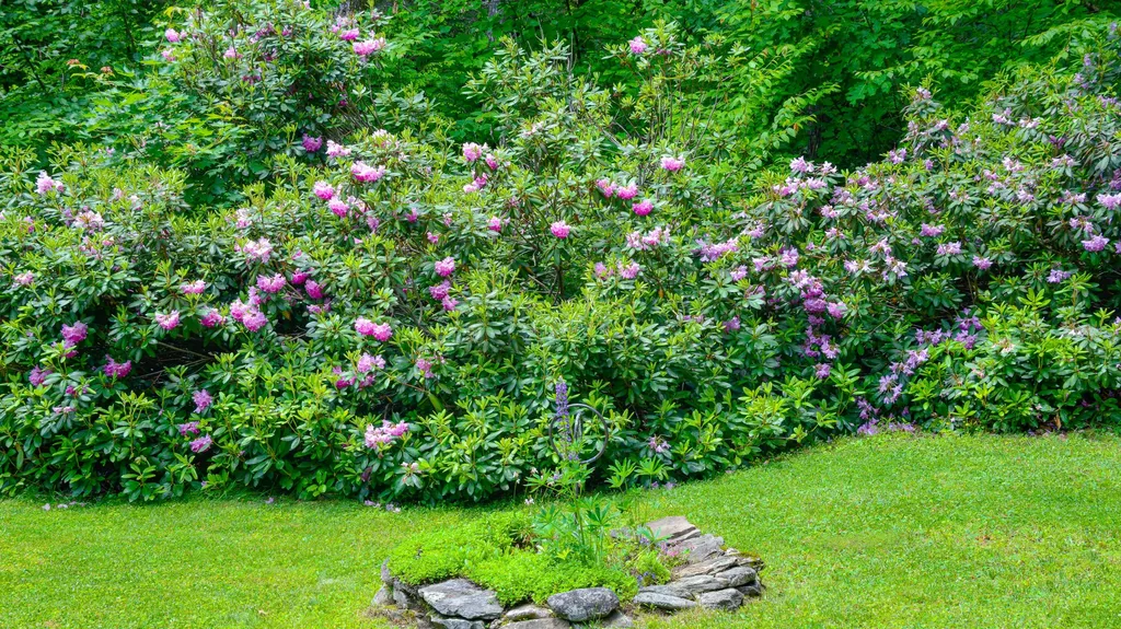 585 Parsonsfield Road Limerick ME 04048