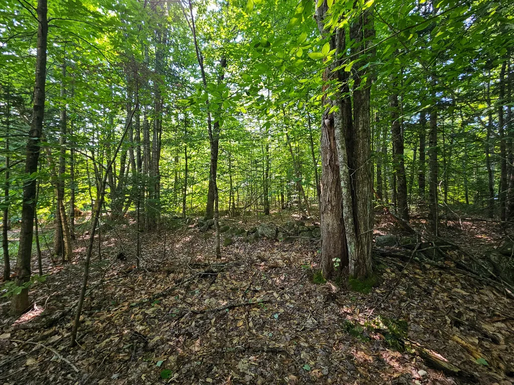 87 Cumner Road Vienna ME 04360