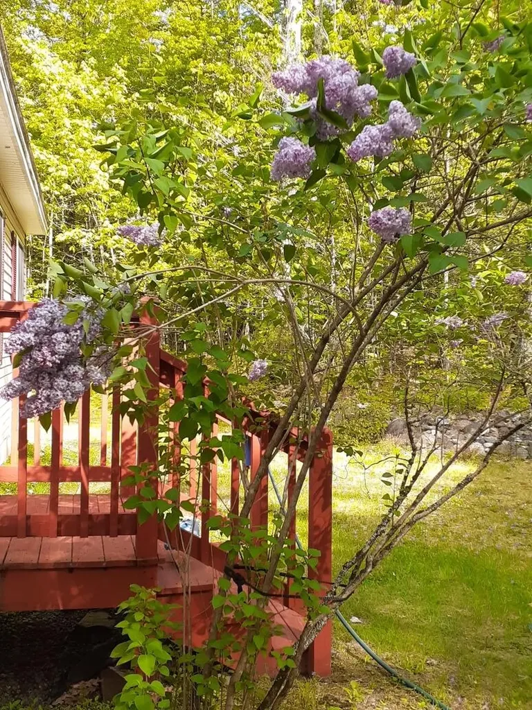 29 Dyer Lane Casco ME 04015
