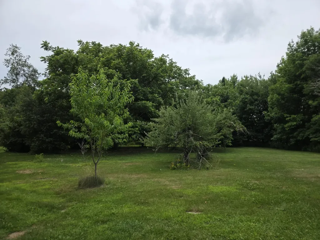 75 Nelson Ridge Road S Washington ME 04574