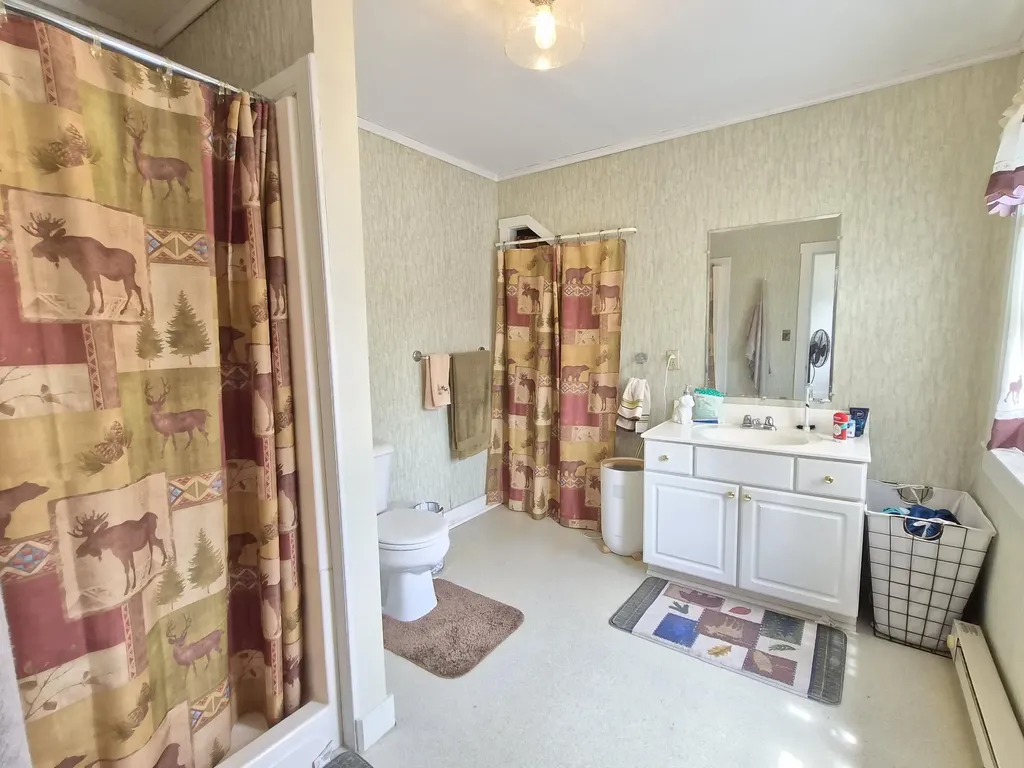 49 High Street Wilton ME 04294