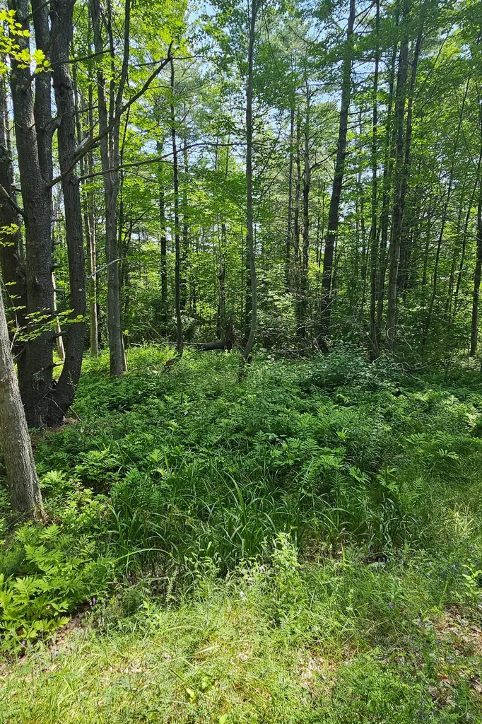 296 Libby Hill Road Gardiner ME 04345