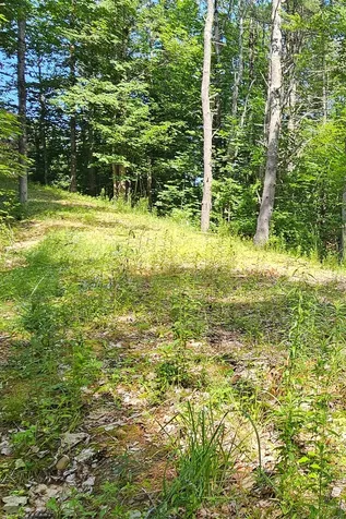 296 Libby Hill Road Gardiner ME 04345