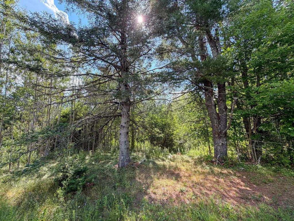 524 Millvale Road Bucksport ME 04416