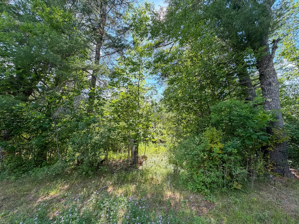 524 Millvale Road Bucksport ME 04416