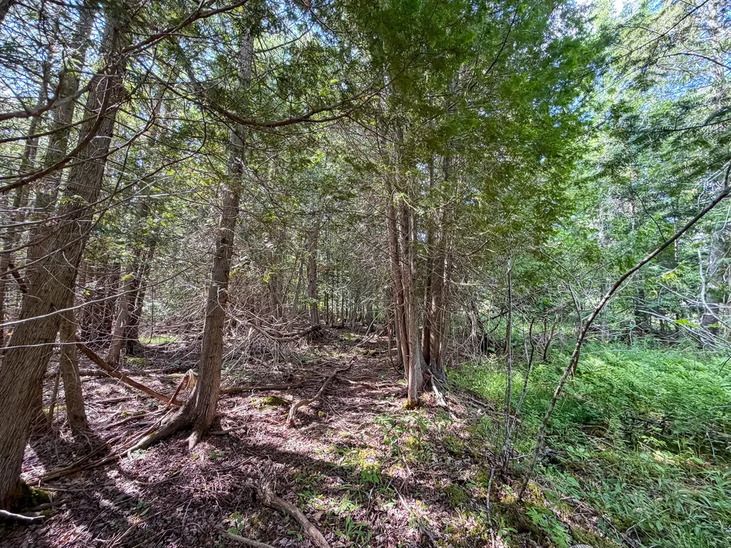 524 Millvale Road Bucksport ME 04416