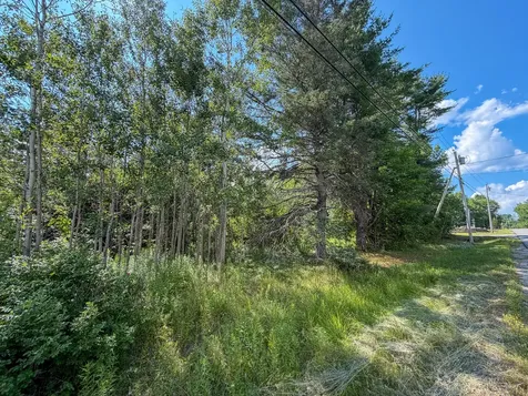 524 Millvale Road Bucksport ME 04416