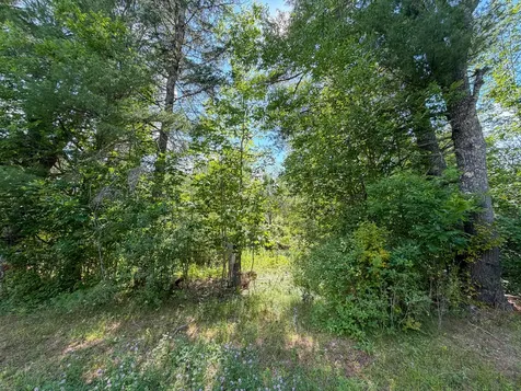 524 Millvale Road Bucksport ME 04416