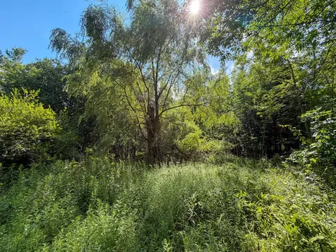 524 Millvale Road Bucksport ME 04416