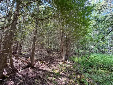 524 Millvale Road Bucksport ME 04416