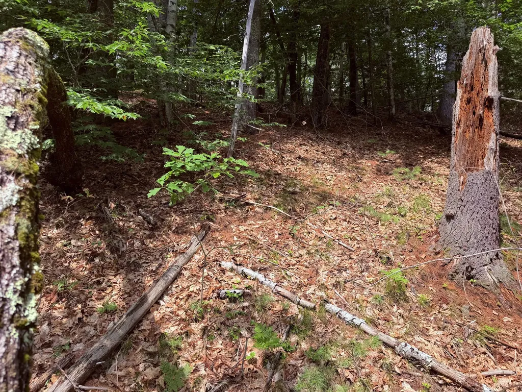Tbd High Point Circle Waterboro ME 04061