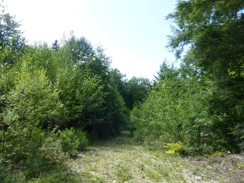 10-000031D Douglas Hill Road Baldwin ME 04024