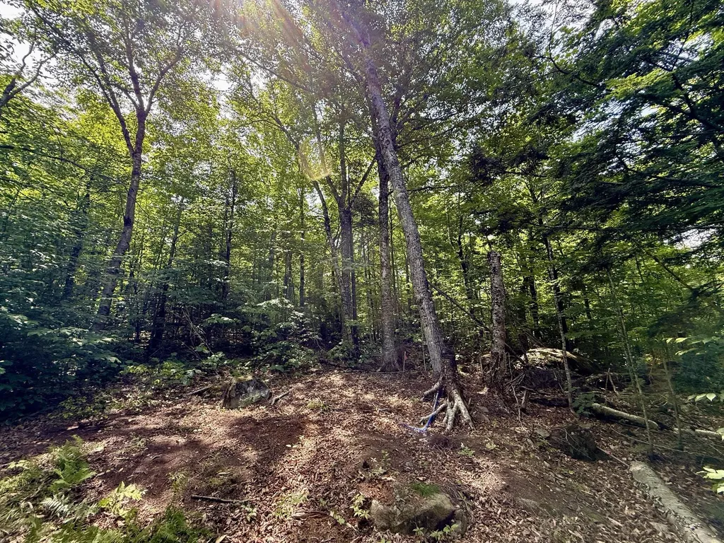 2018 Hillside Road Carrabassett Valley ME 04947