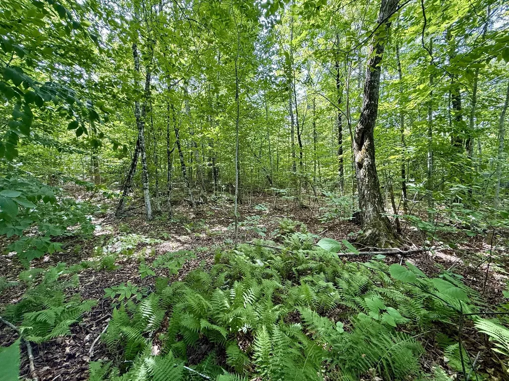 2018 Hillside Road Carrabassett Valley ME 04947