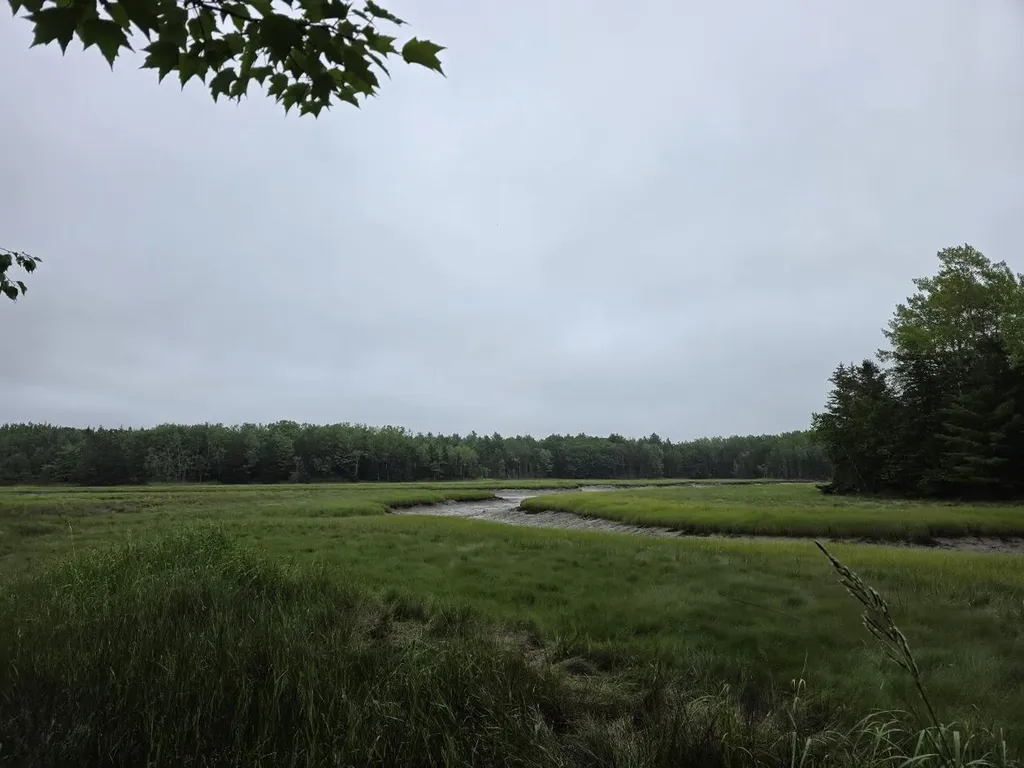 Lot 175 Poplar Lane Milbridge ME 04658