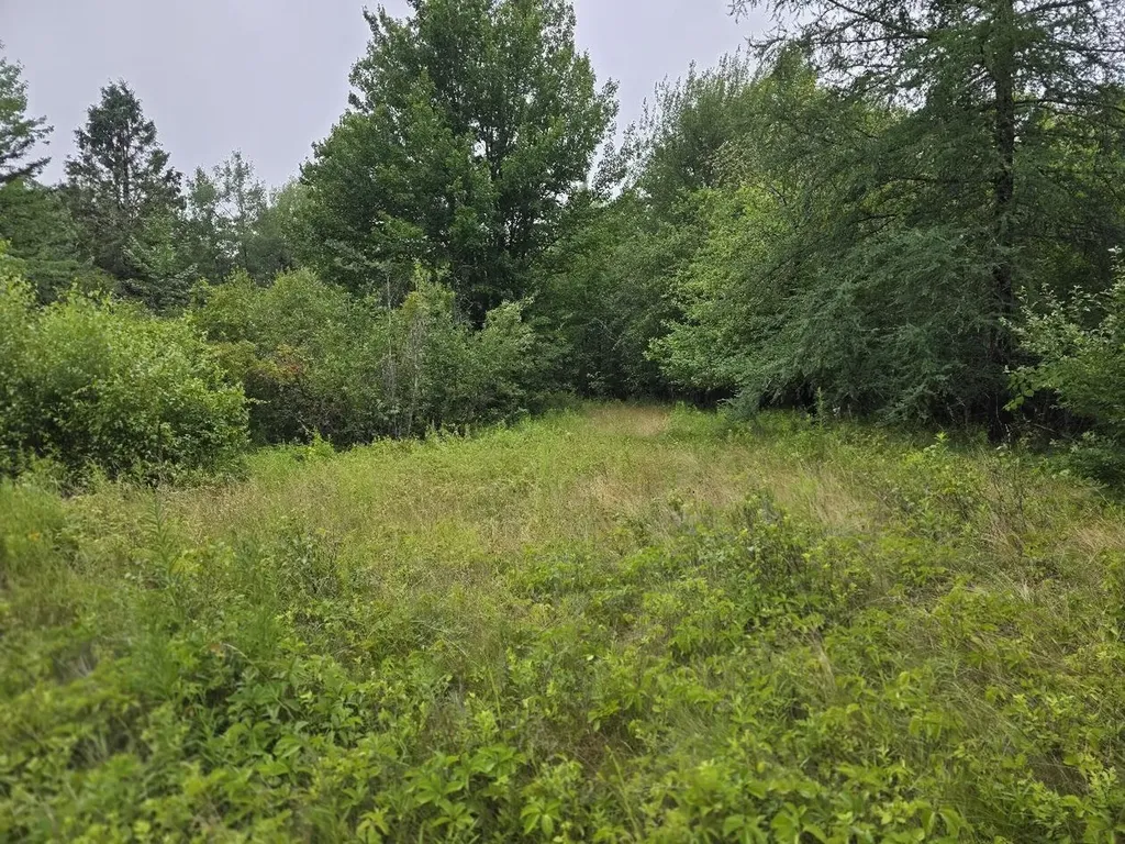 Lot 175 Poplar Lane Milbridge ME 04658