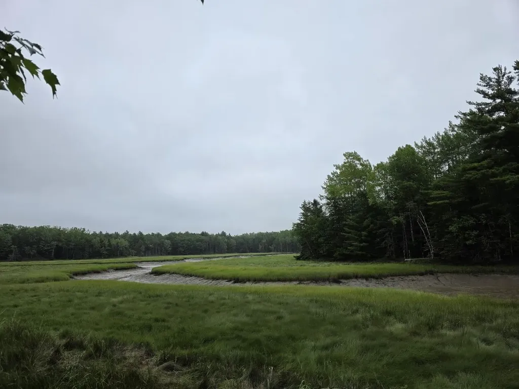 Lot 175 Poplar Lane Milbridge ME 04658