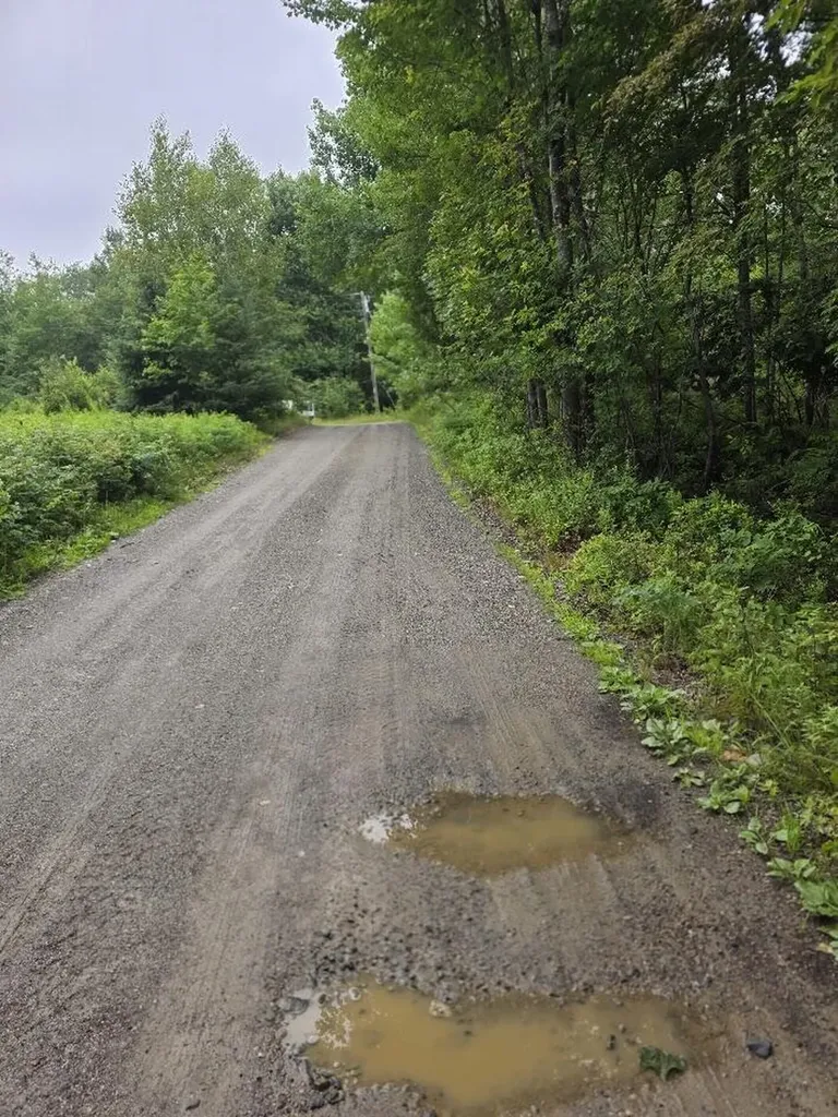 Lot 175 Poplar Lane Milbridge ME 04658