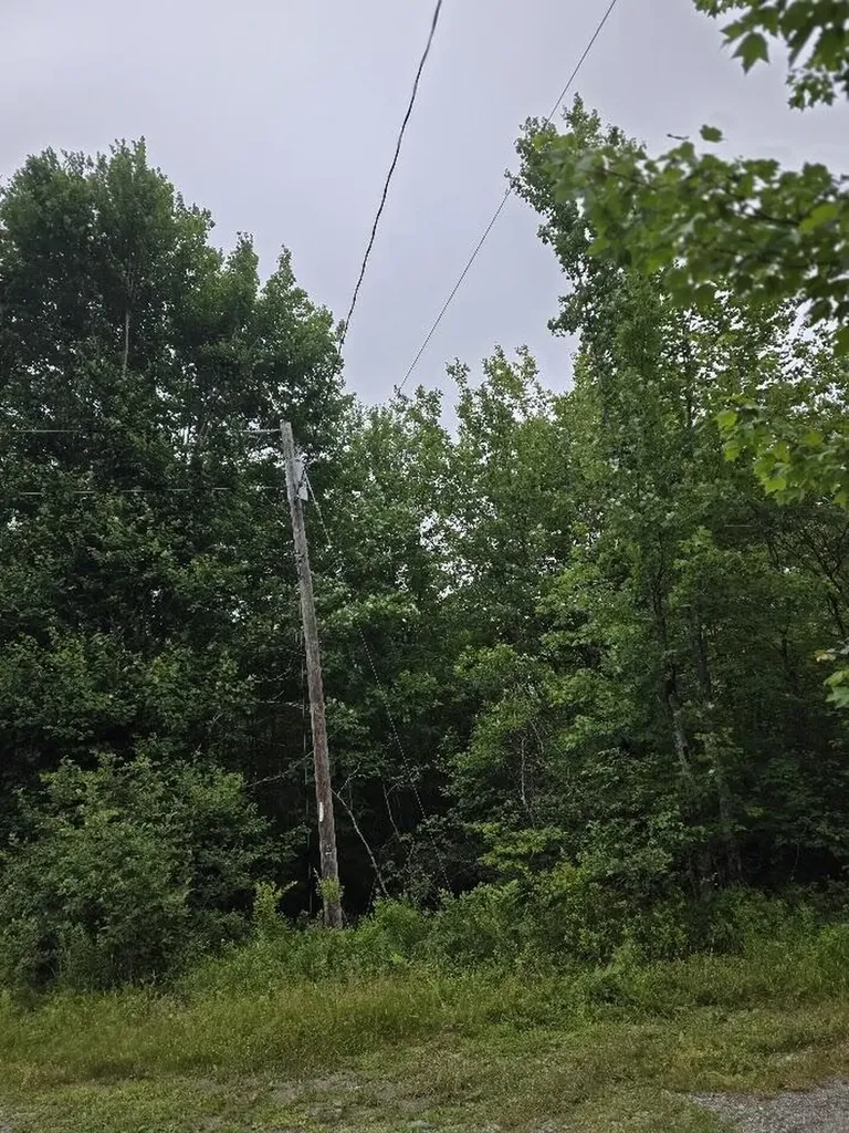 Lot 175 Poplar Lane Milbridge ME 04658