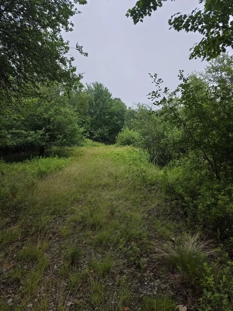 Lot 175 Poplar Lane Milbridge ME 04658