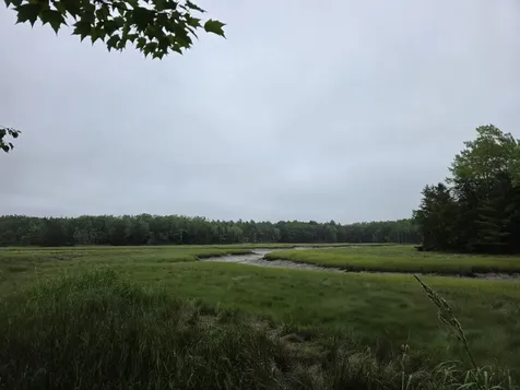 Lot 175 Poplar Lane Milbridge ME 04658