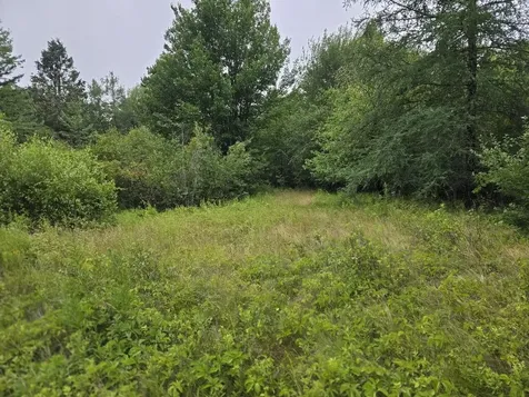 Lot 175 Poplar Lane Milbridge ME 04658