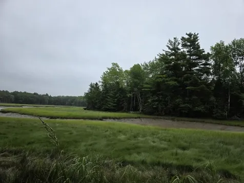Lot 175 Poplar Lane Milbridge ME 04658